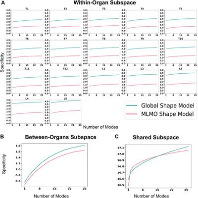 Statistical multi-level shape models for scalable modeling of multi-organ anatomies